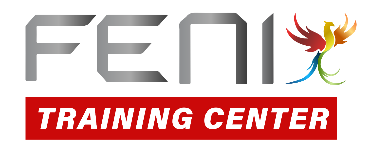 Fenix Training Center Logo